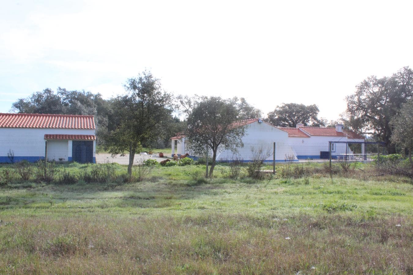 Quinhão Hereditário · Grândola — imagen 22