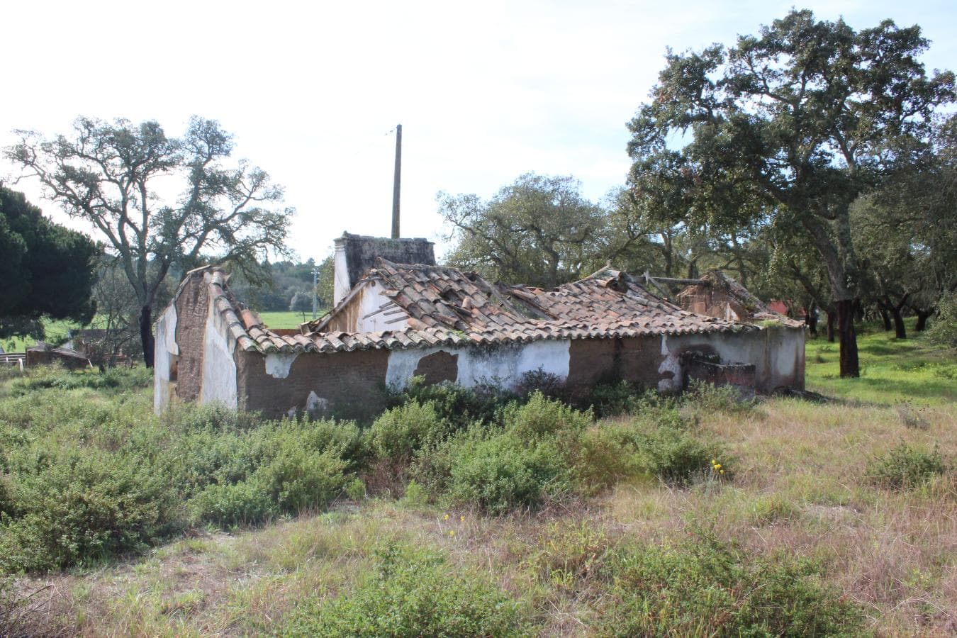 Quinhão Hereditário · Grândola — imagen 37