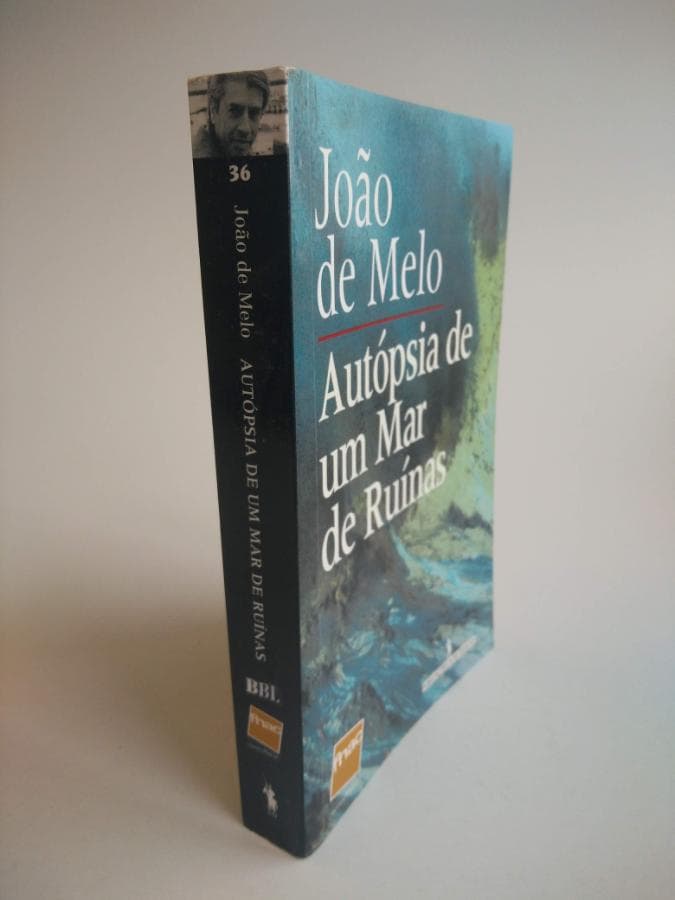 Autópsia de um Mar em Ruínas — image 1