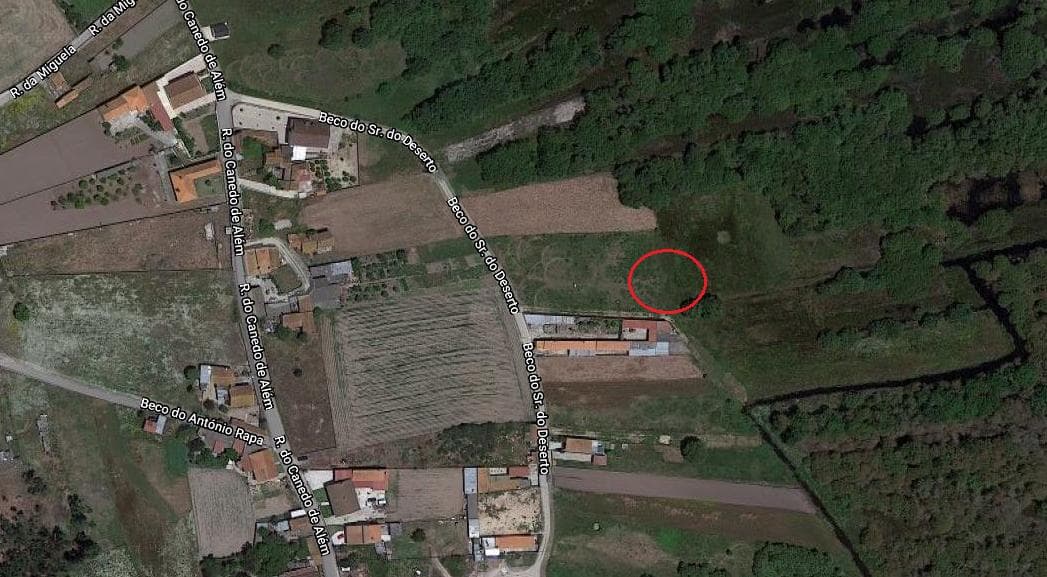 Quinhão Hereditário · Estarreja — imagem 53