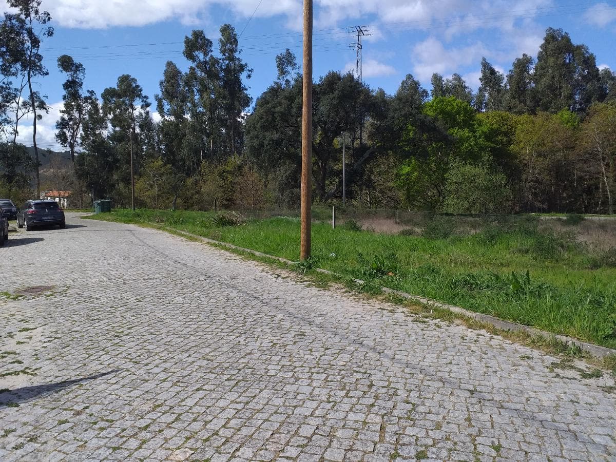 Lote para Construção · Mondim de Basto — imagem 7