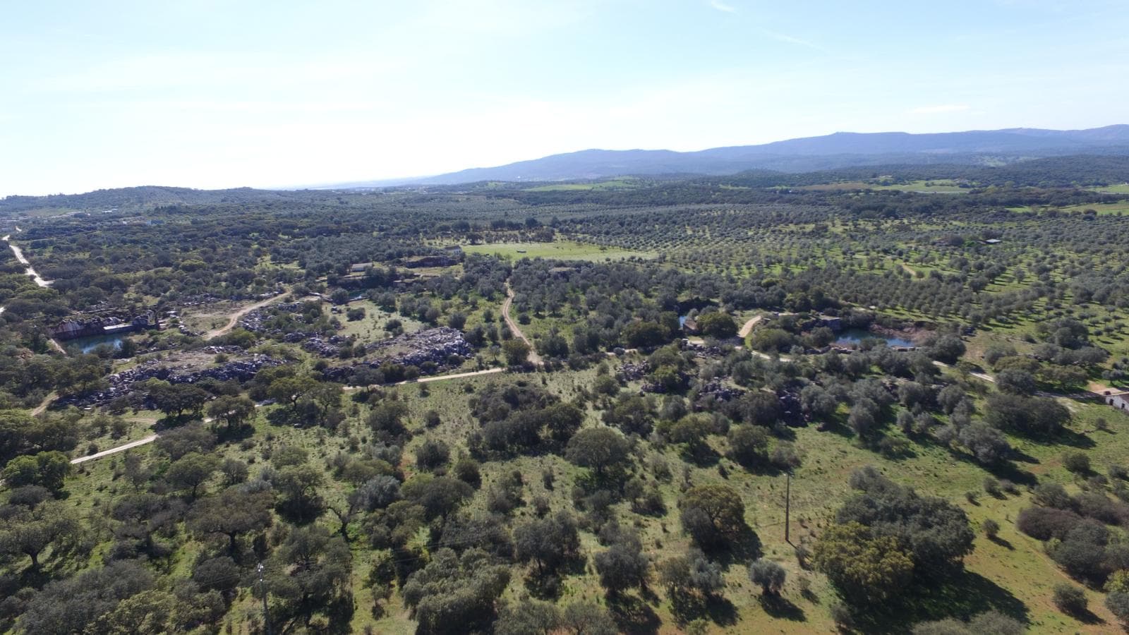 Herdade da Casqueira · Estremoz — imagen 16
