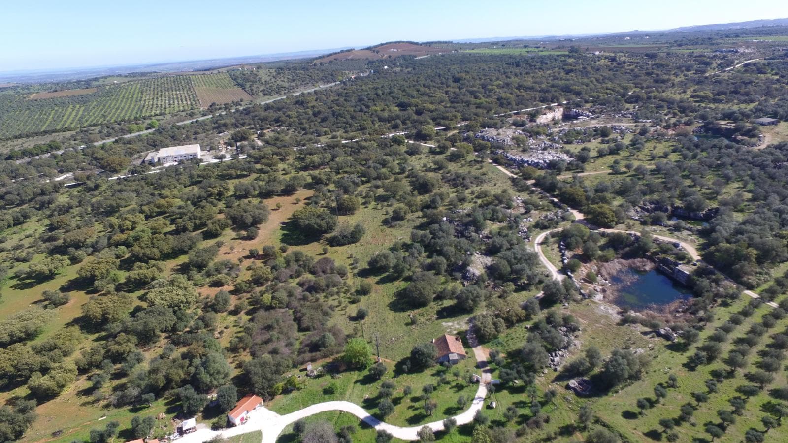 Herdade da Casqueira · Estremoz — imagen 17