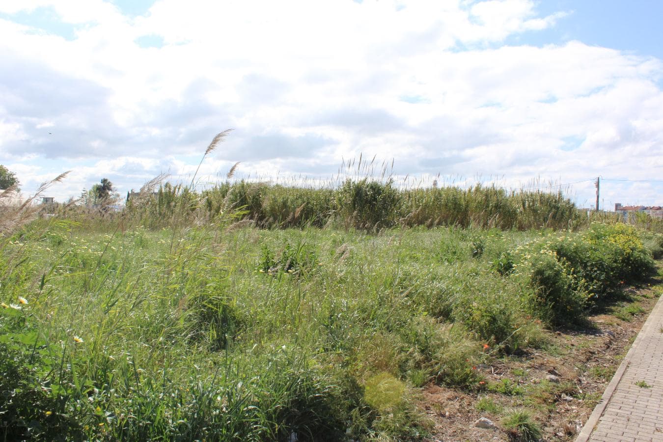 Lote Para Construção · Vila Franca de Xira — imagen 6