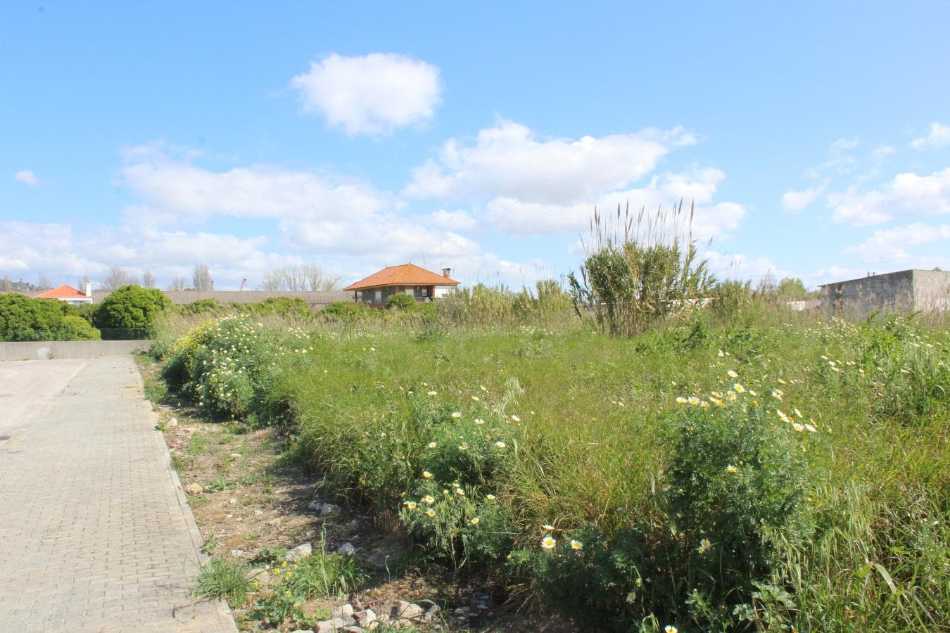 Lote Para Construção · Vila Franca de Xira — imagen 7