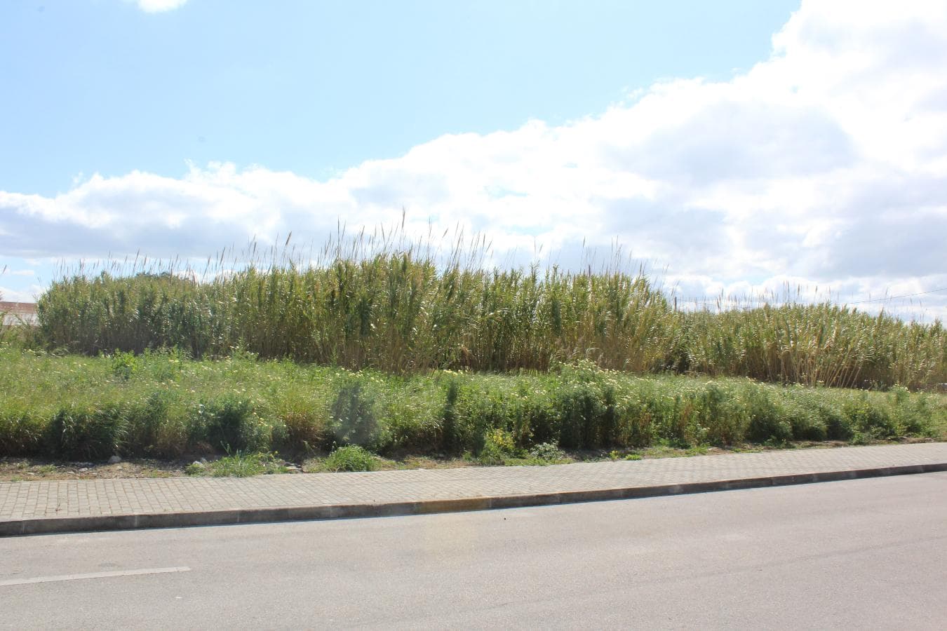 Lote Para Construção · Vila Franca de Xira — imagen 5