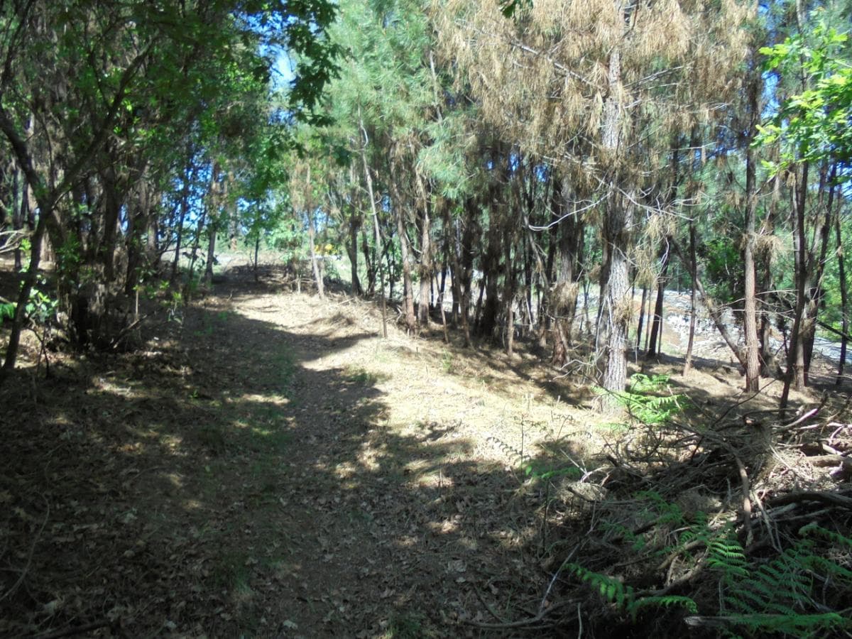 Terreno · Viseu — image 3