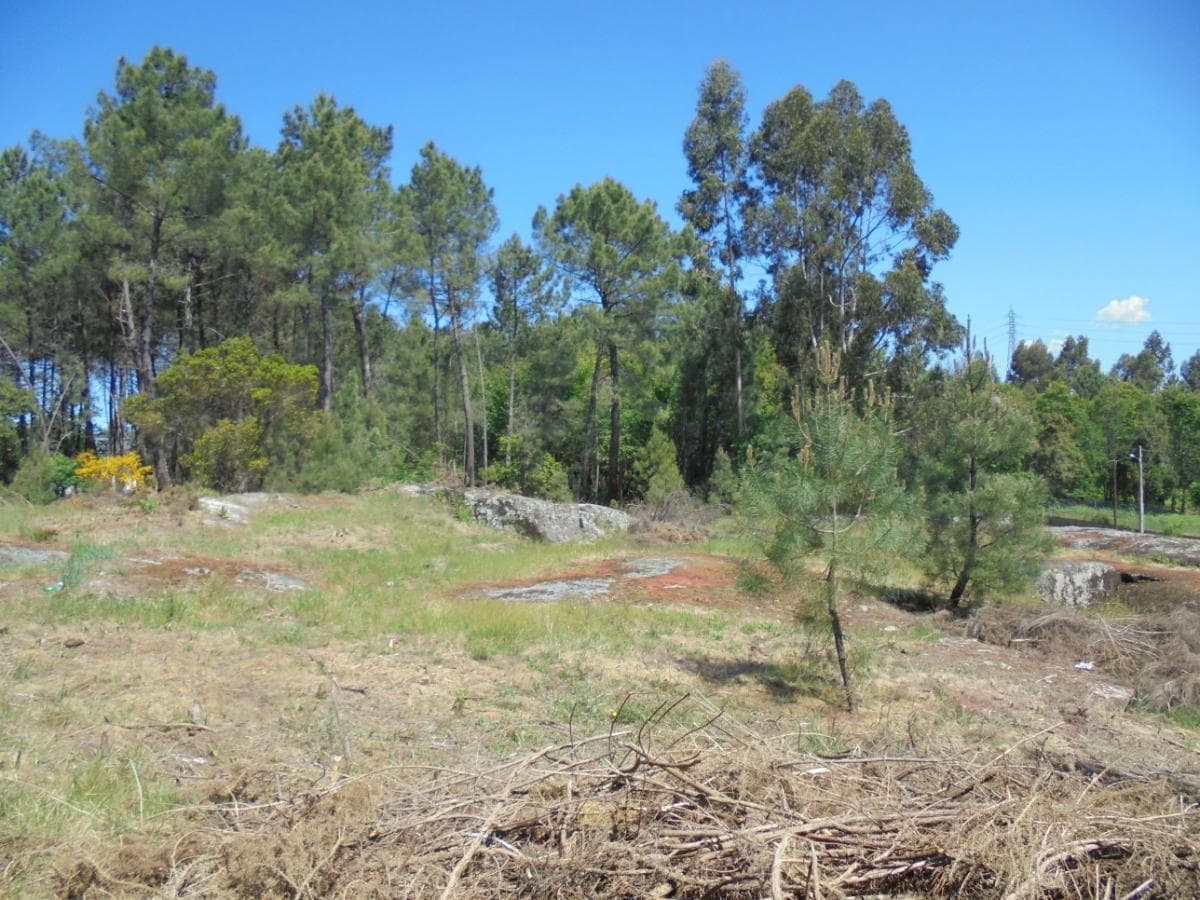 Terreno · Viseu — image 2