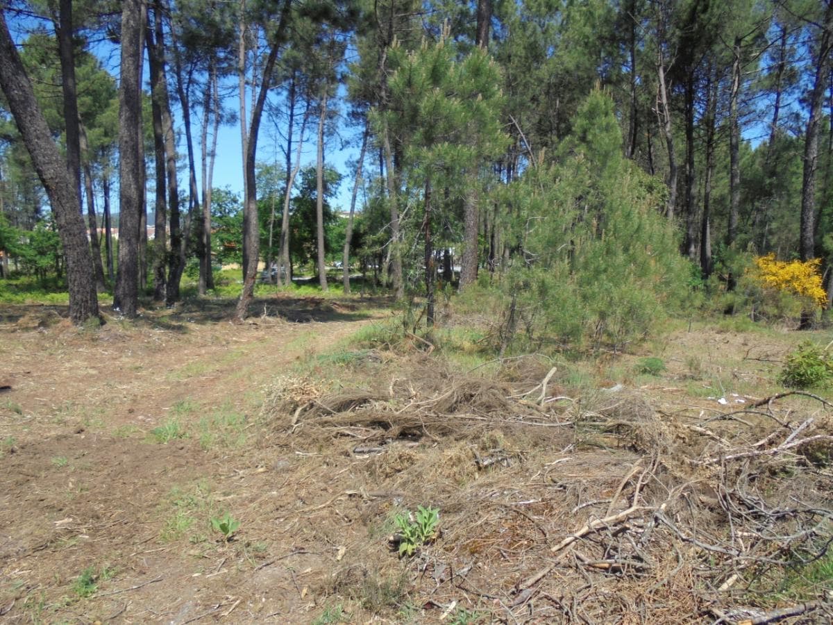Terreno · Viseu — image 5