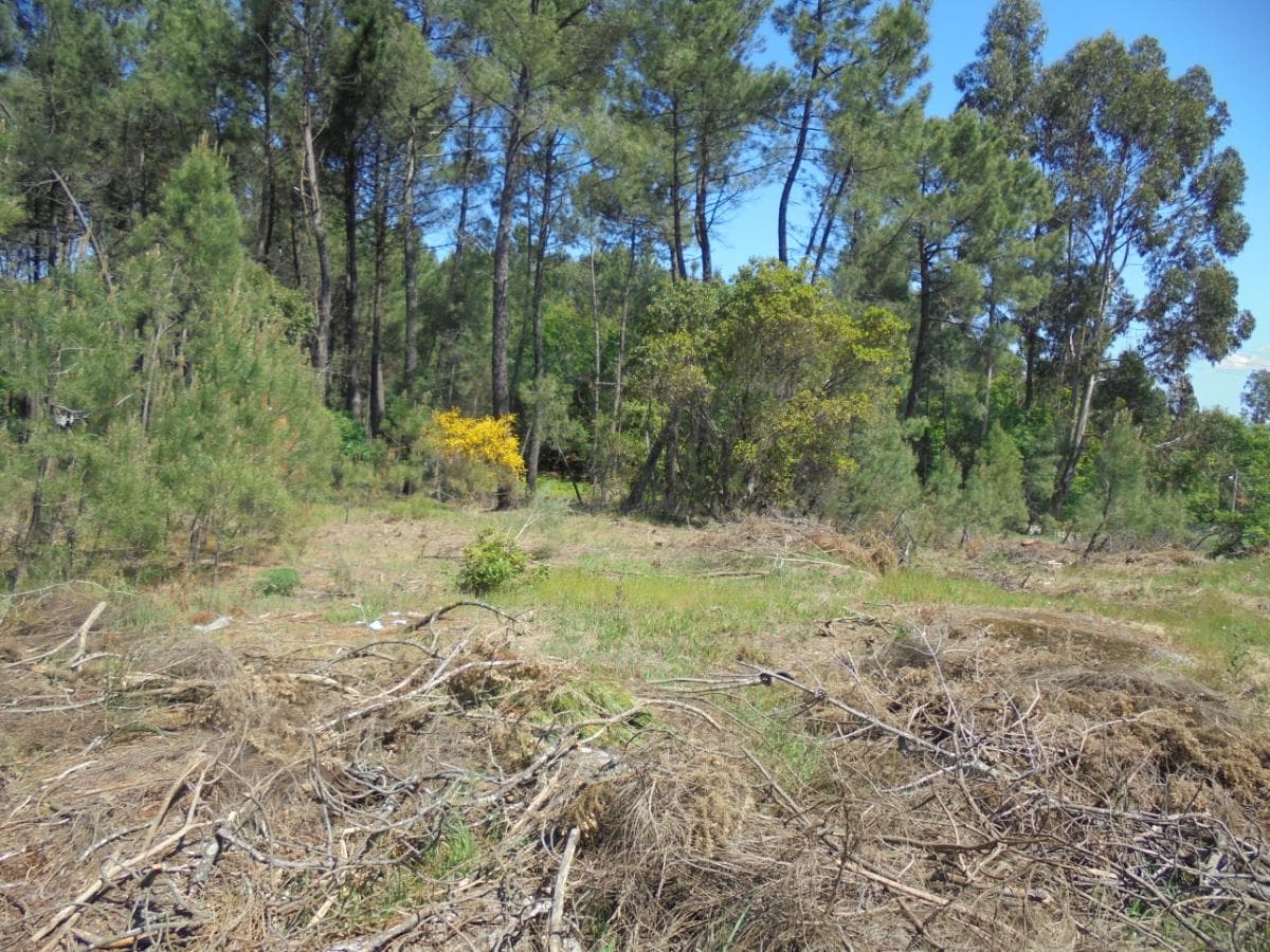 Terreno · Viseu — image 6