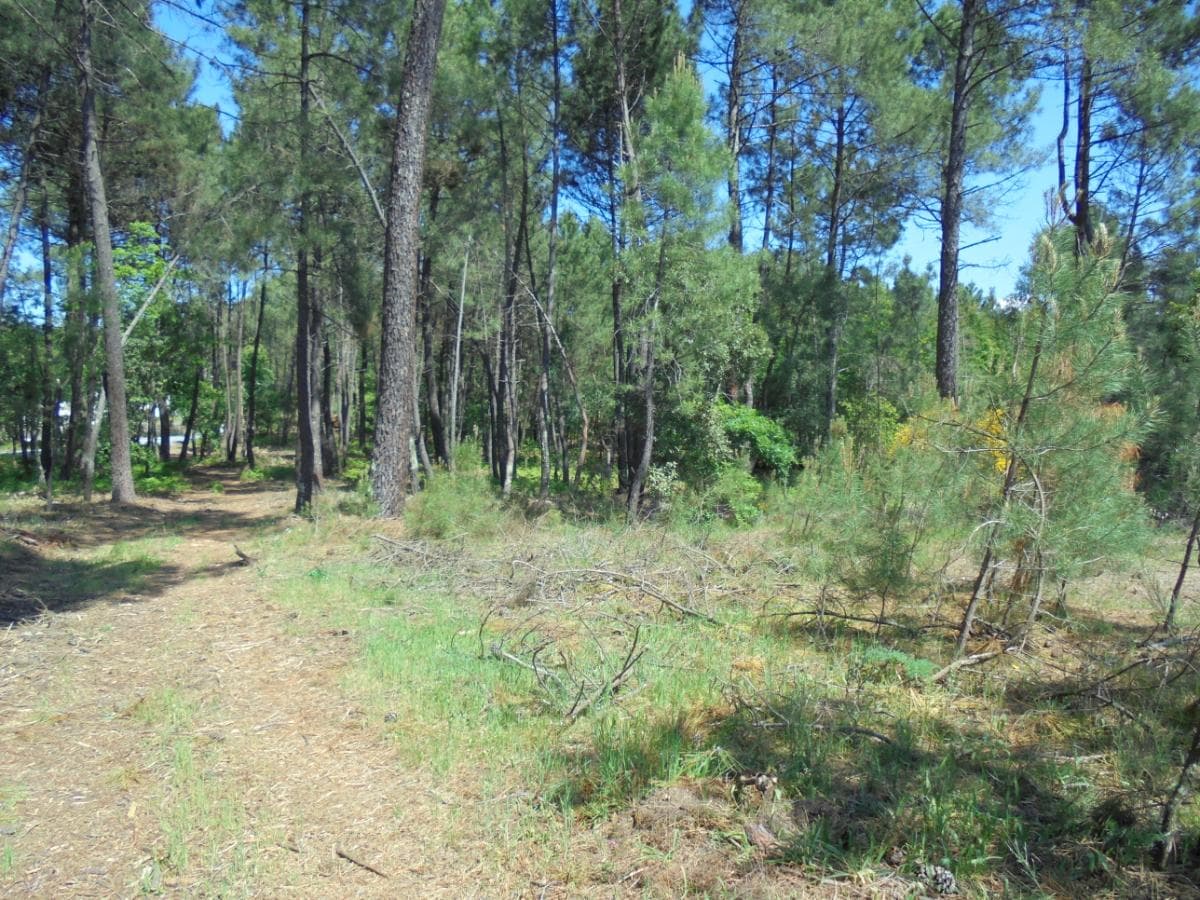 Terreno · Viseu — image 7