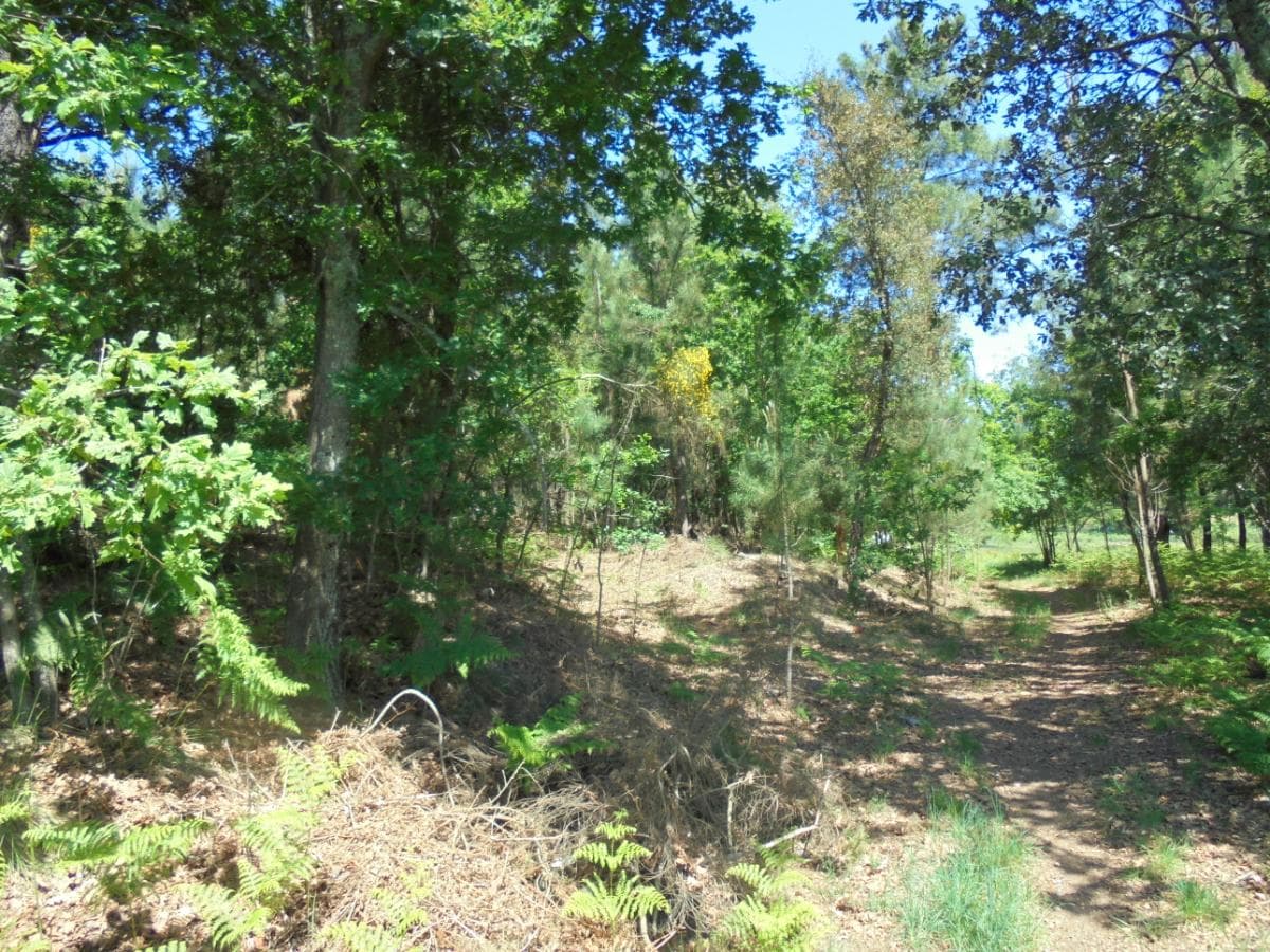Terreno · Viseu — image 4