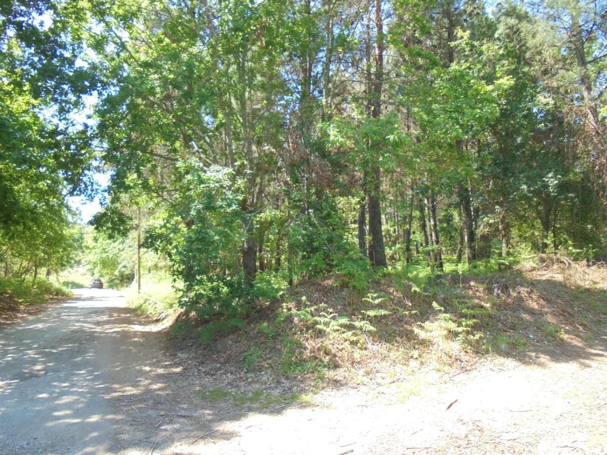 Terreno · Viseu — image 11