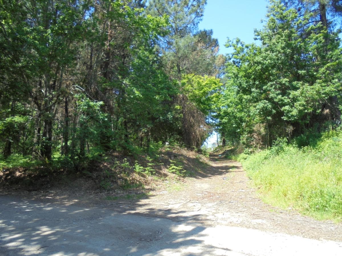 Terreno · Viseu — image 12