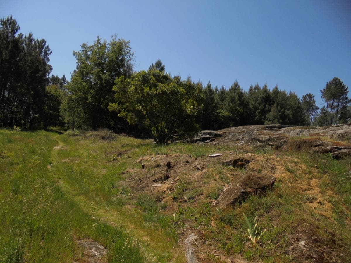 Terreno · Viseu — image 13