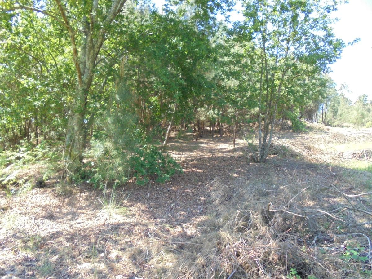 Terreno · Viseu — image 14