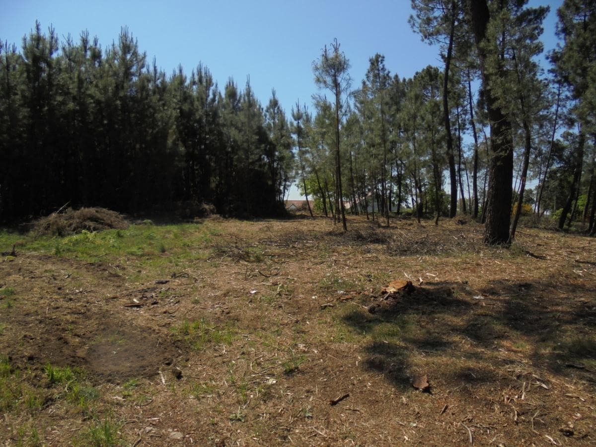 Terreno · Viseu — image 15