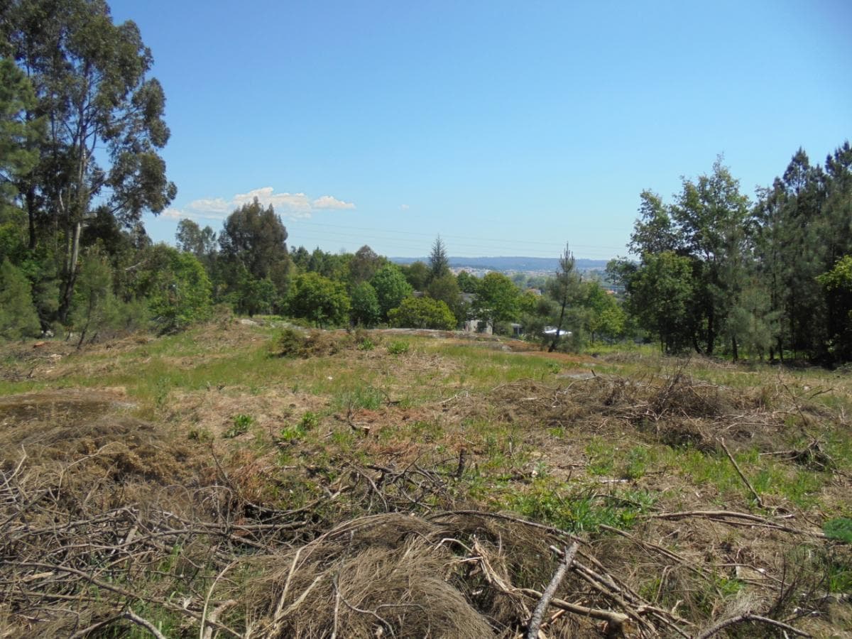 Terreno · Viseu — image 16