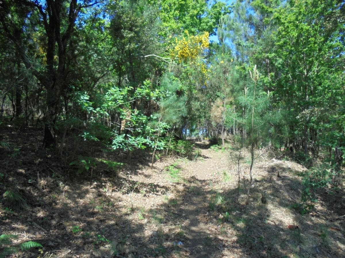 Terreno · Viseu — image 17