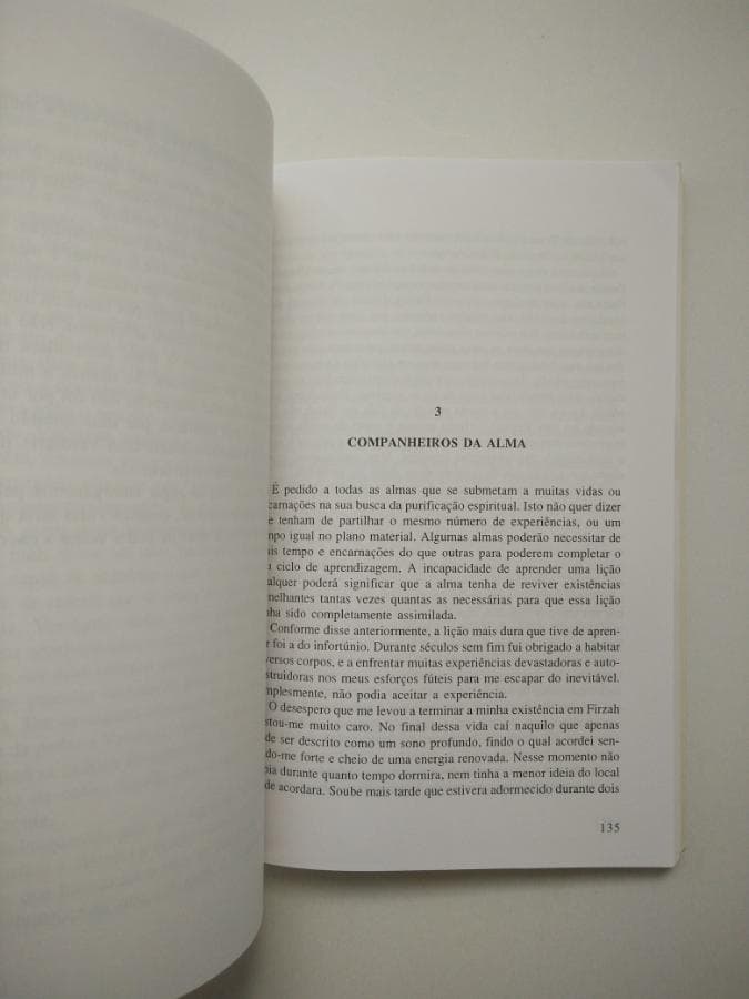 A Vida depois da Morte — imagem 3