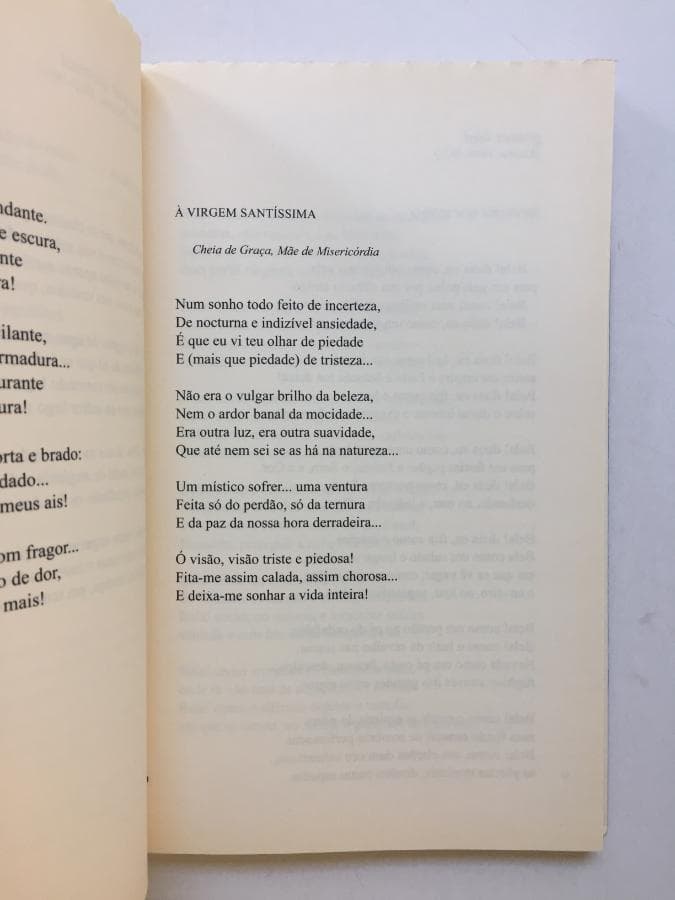 Os Poemas da Minha Vida - Eunice Munõz — imagen 2