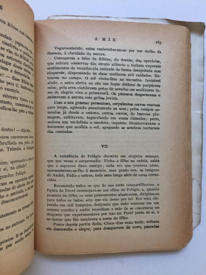 A Mãe — imagen 2