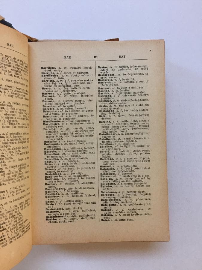 Dicionário Português-Inglês (Edição Escolar) — imagem 2