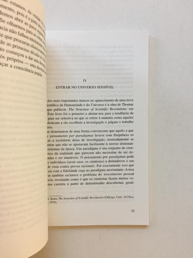 La Visión Celestina — imagen 2