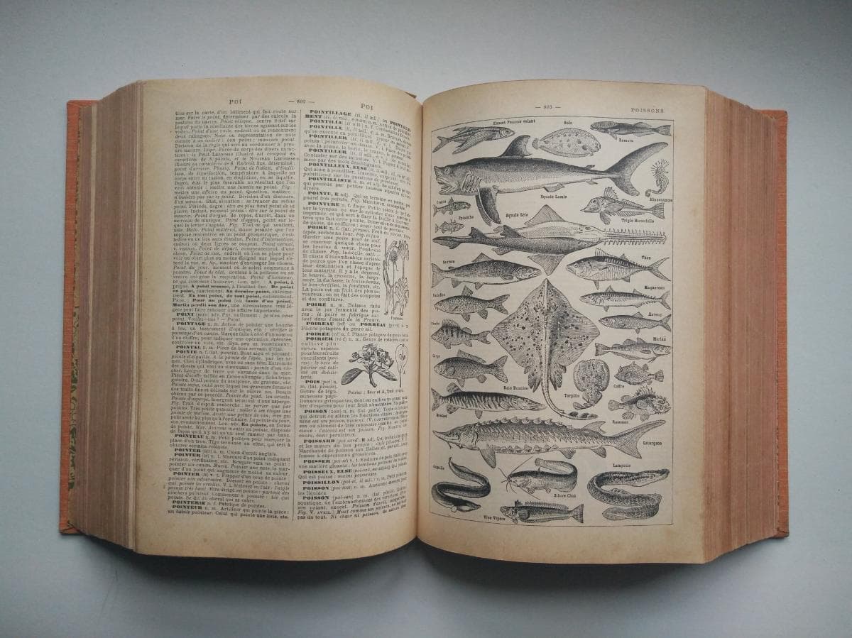Nouveau Petit Larousse Illustré — imagem 3