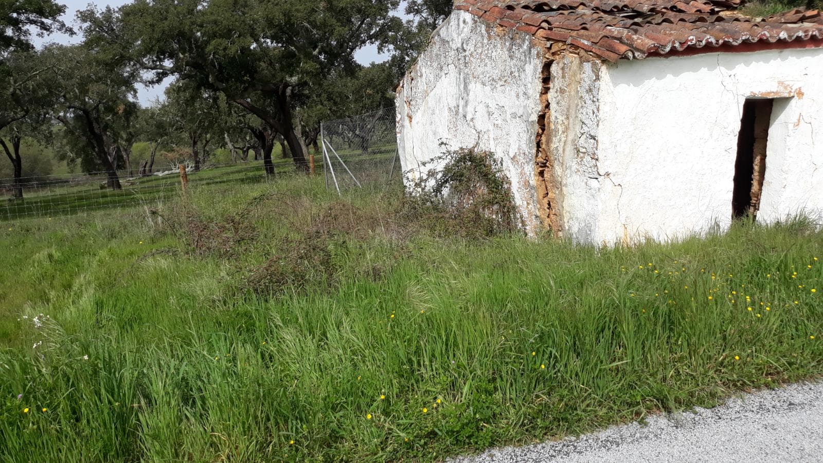 Moradias (Ruínas) + Terreno · Arronches — imagem 9