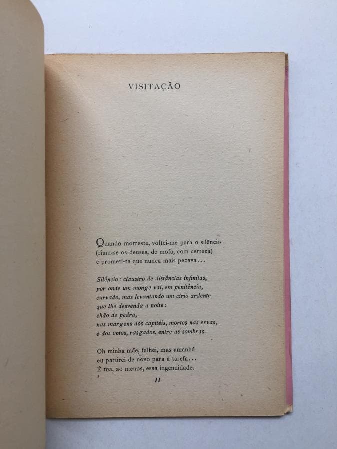 O Anjo Tutelar — imagen 2