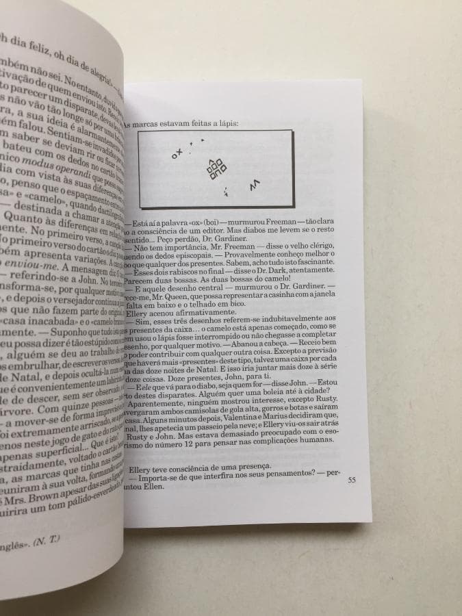 O Caso dos Gémeos Desconhecidos — imagen 2