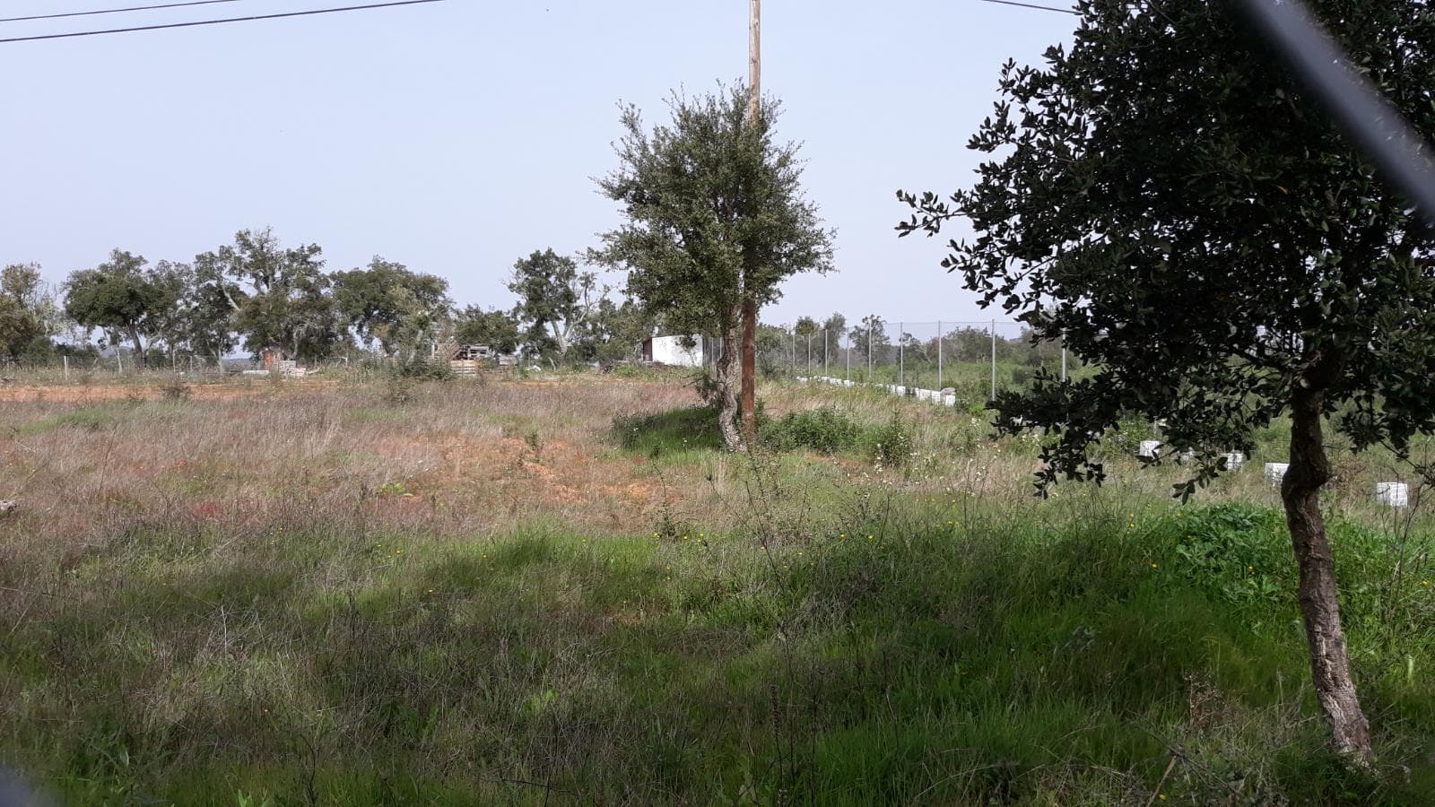 Moradias (Ruínas) + Terreno · Arronches — imagem 6
