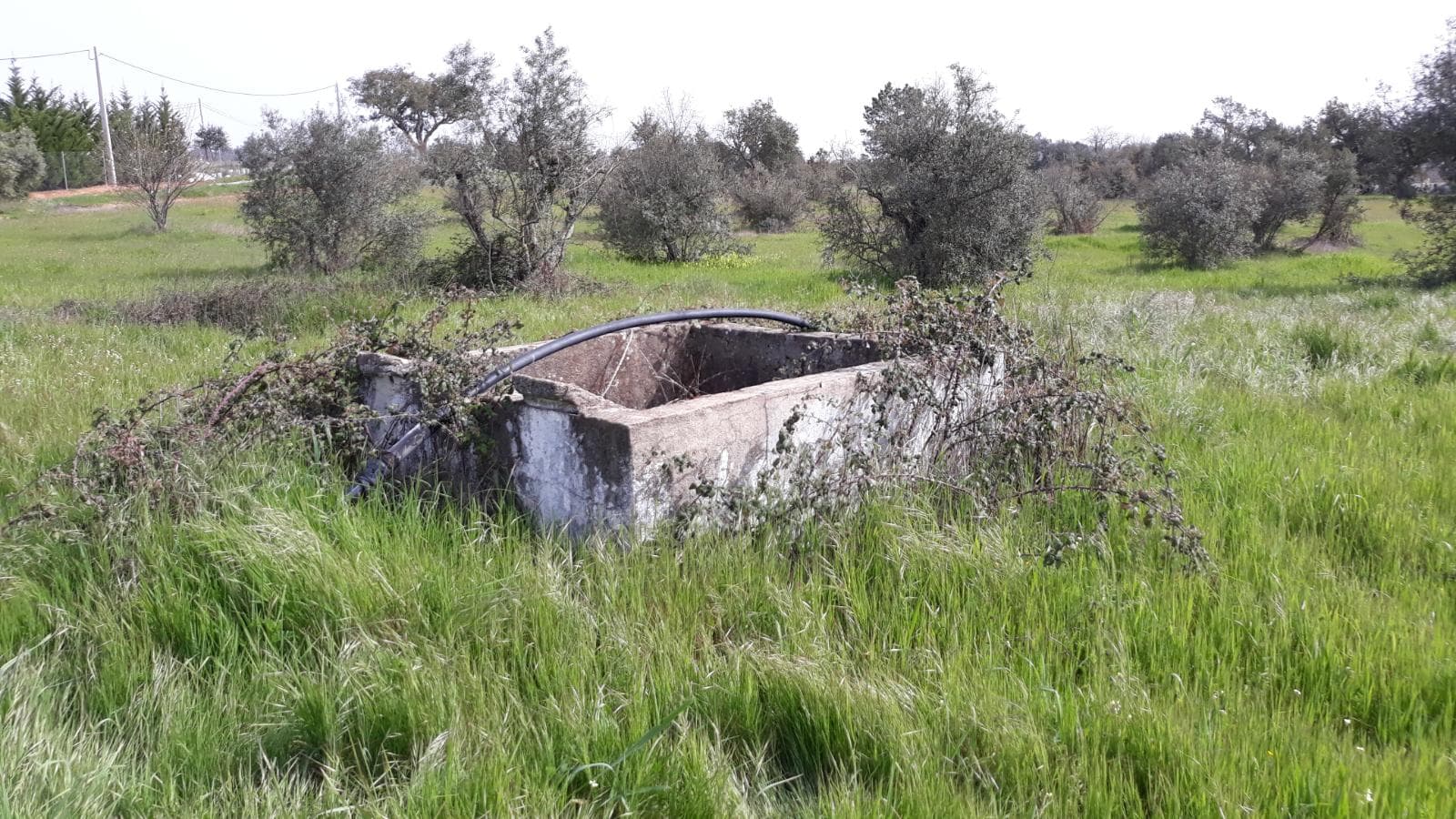 Moradias (Ruínas) + Terreno · Arronches — imagem 4