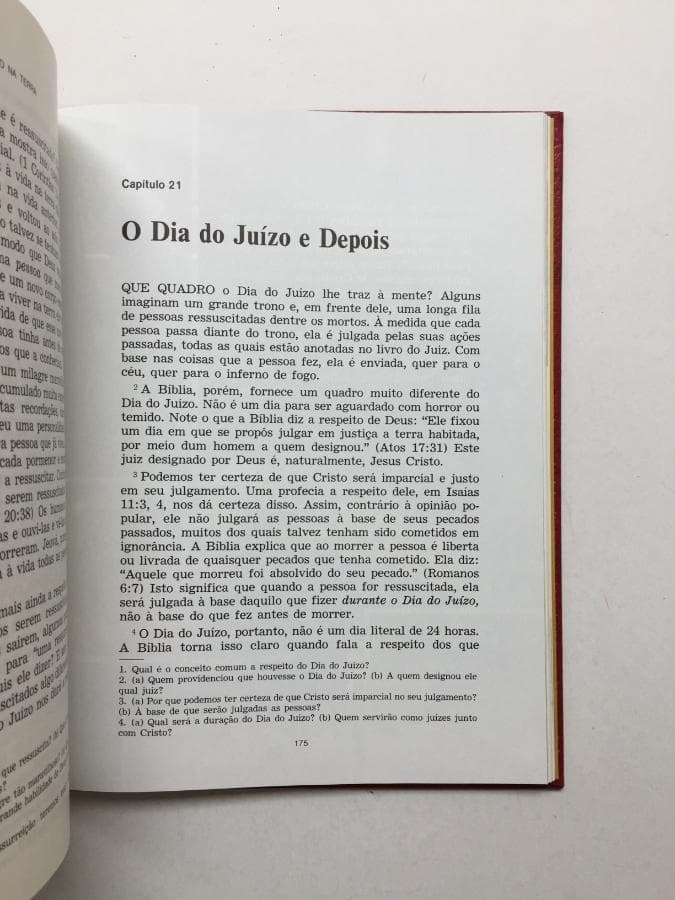 Poderá viver para sempre no paraíso na Terra — image 2