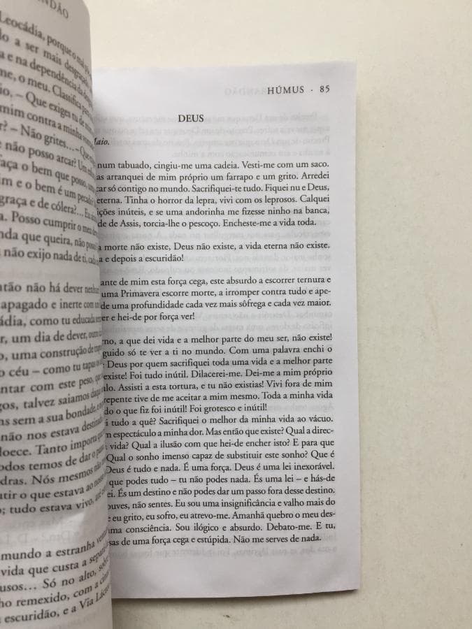 Húmus — imagen 2