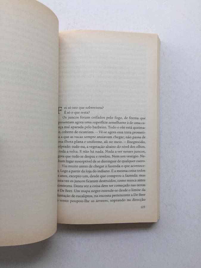 O Conservador · Nadine Gordimer — imagen 2