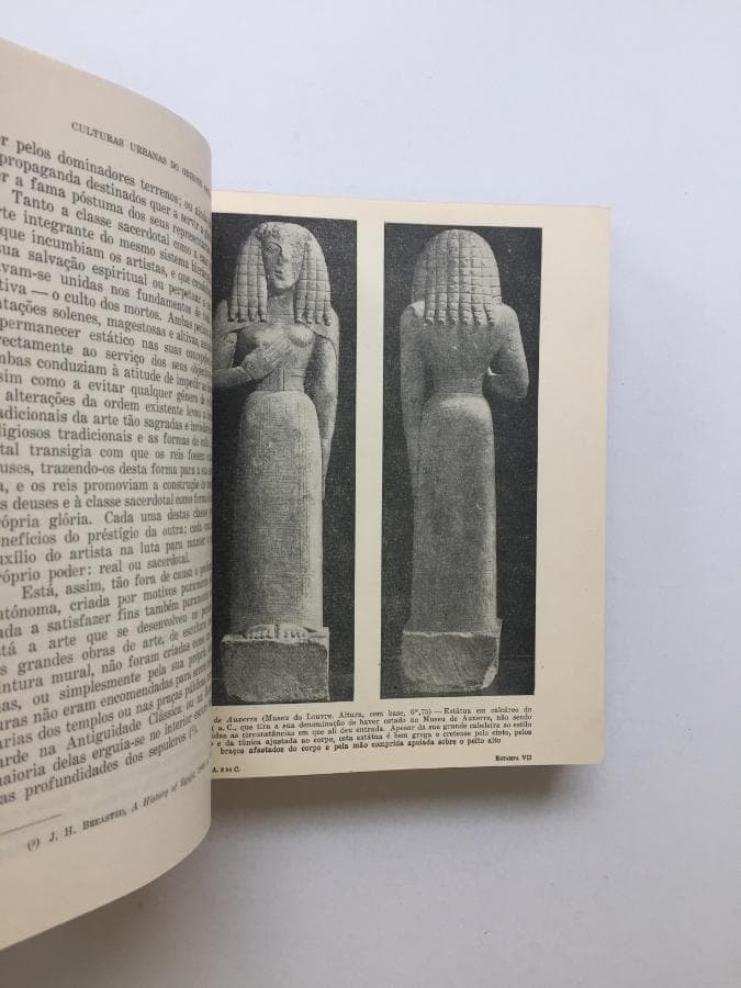 História Social da Arte e da Cultura - Volume I — imagen 2