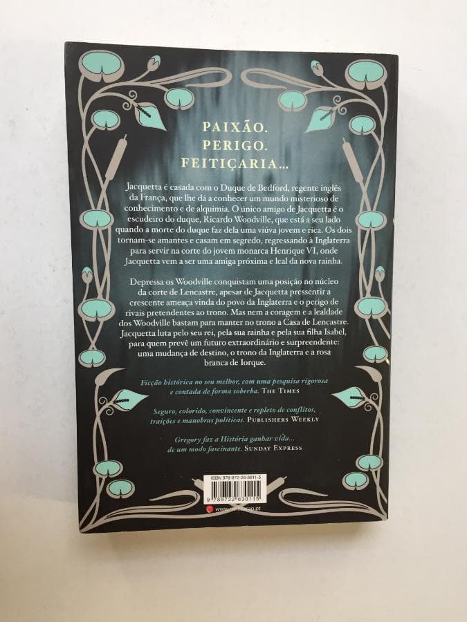 A Senhora dos Rios · Philippa Gregory — imagem 3