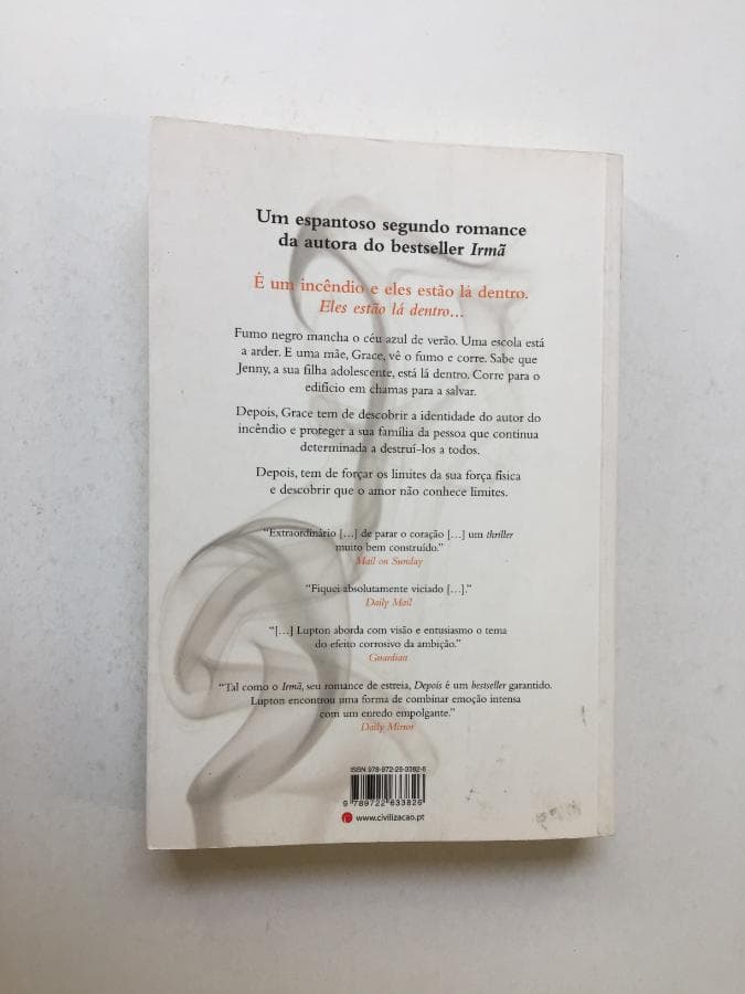 Um Dia Perfeito, Um Crime Terrível Depois · Rosamund Lupton — imagen 3