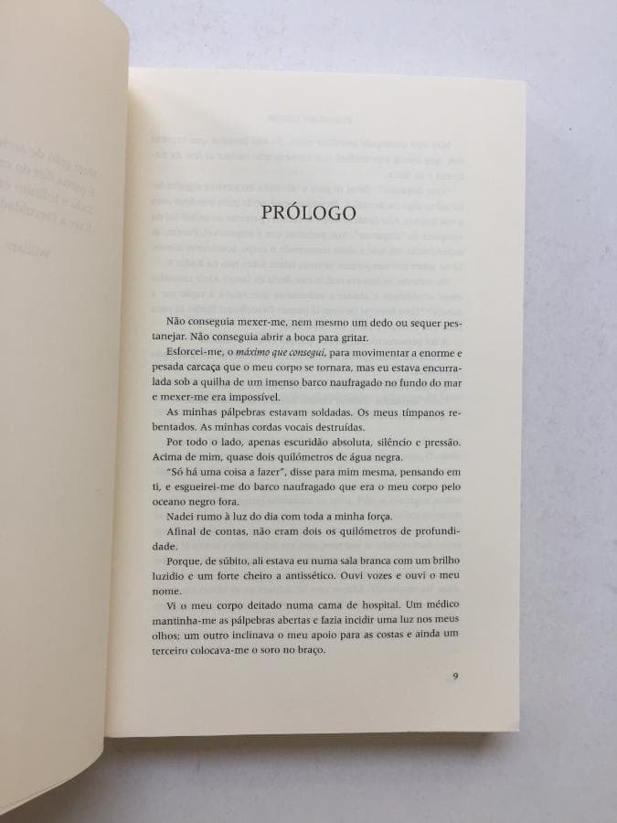 Um Dia Perfeito, Um Crime Terrível Depois · Rosamund Lupton — imagen 2