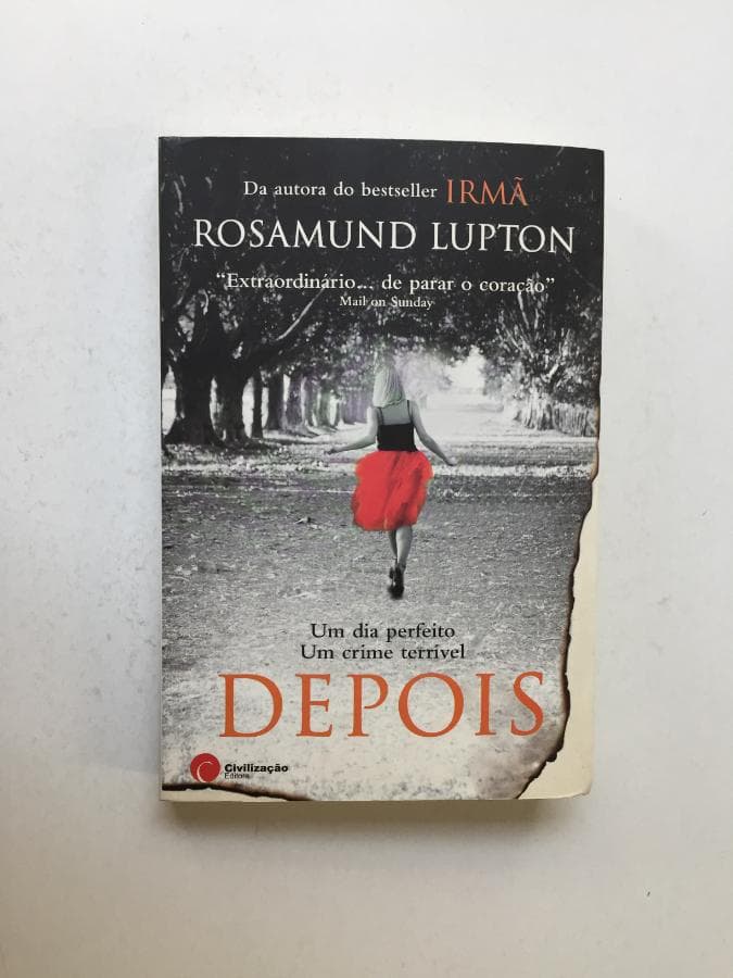 Um Dia Perfeito, Um Crime Terrível Depois · Rosamund Lupton — imagen 1