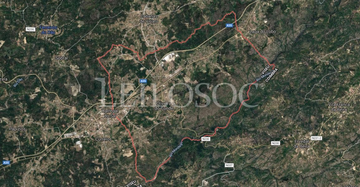 Proporção de 1/5 de 10 Terrenos · Carregal do Sal — imagen 54