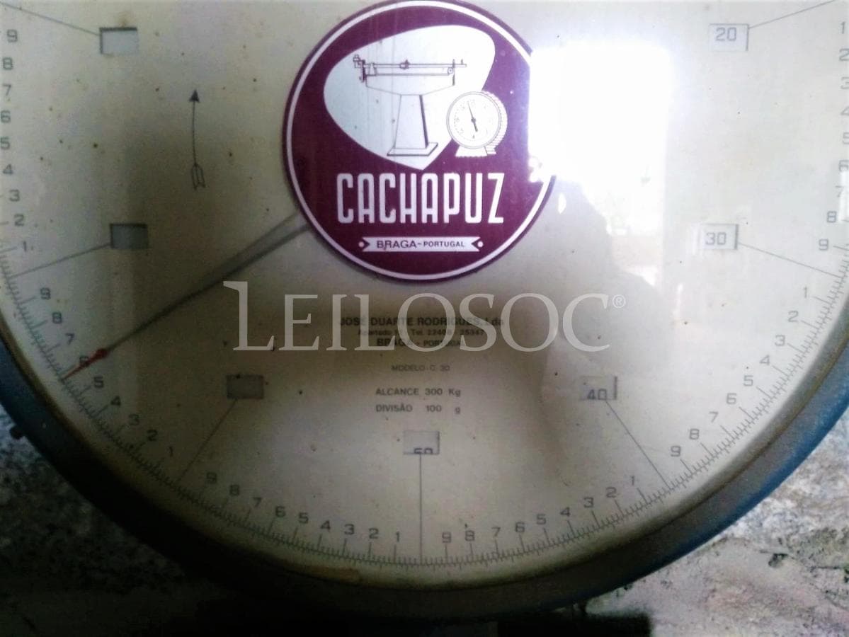 Báscula Cachapuz — imagen 2