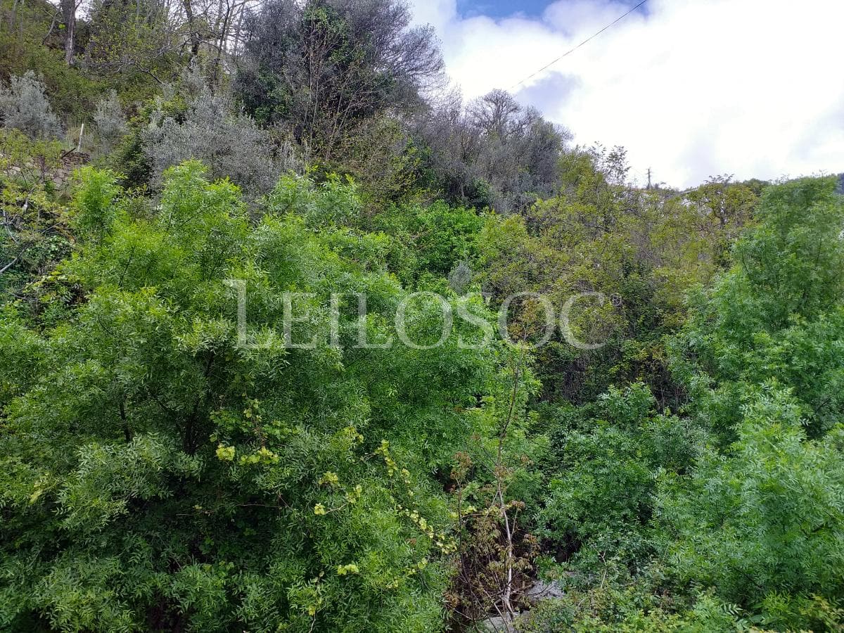 Terreno · Manteigas, Guarda — image 1