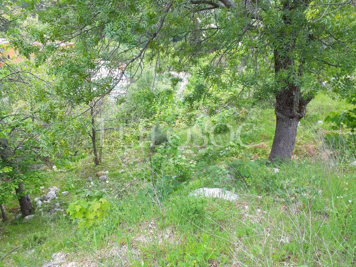 Terreno · Manteigas, Guarda — imagen 2