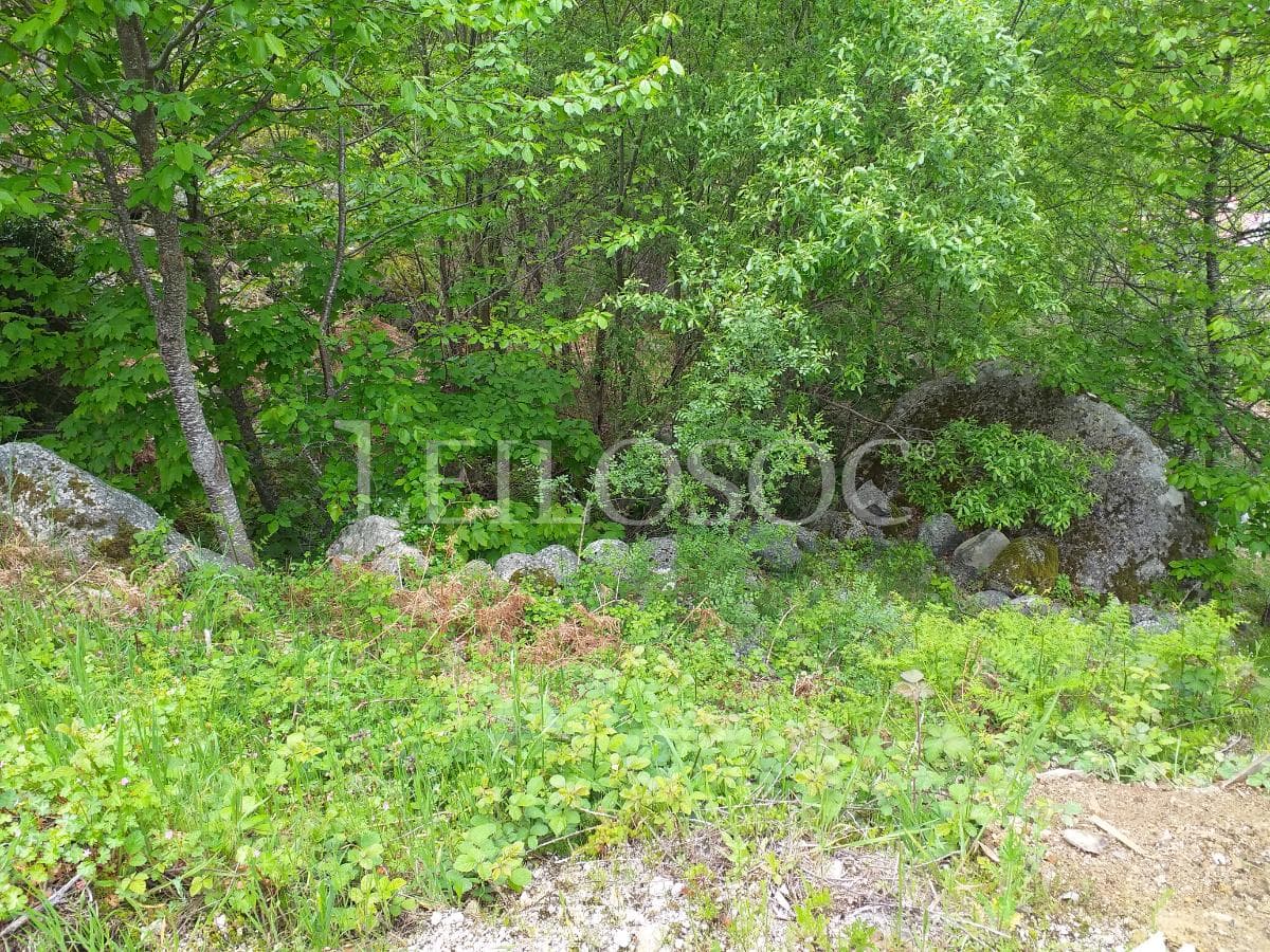 Terreno · Manteigas, Guarda — imagen 3