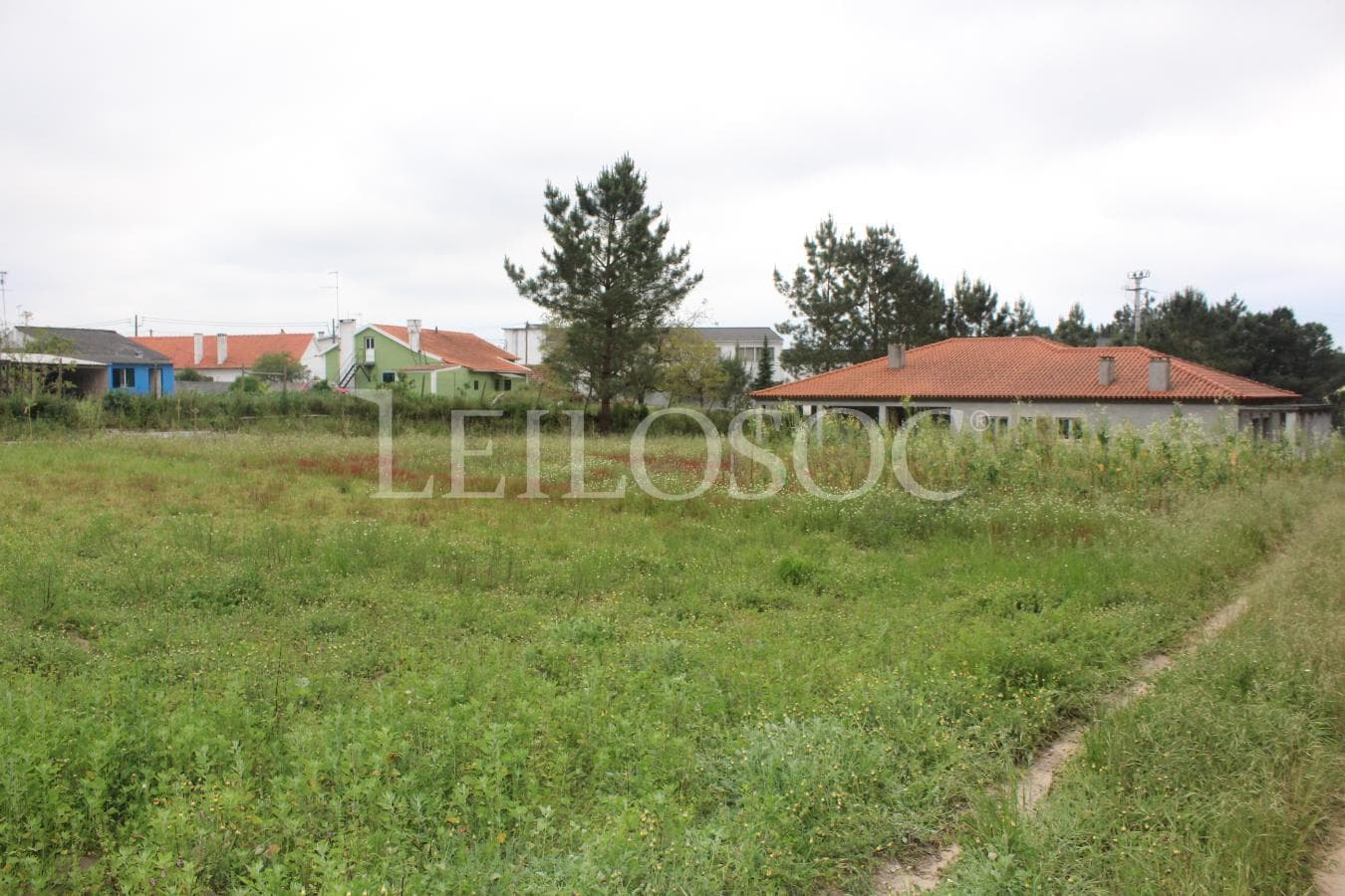 Lote para Construção c/benfeitoria · Alcobaça — imagem 10