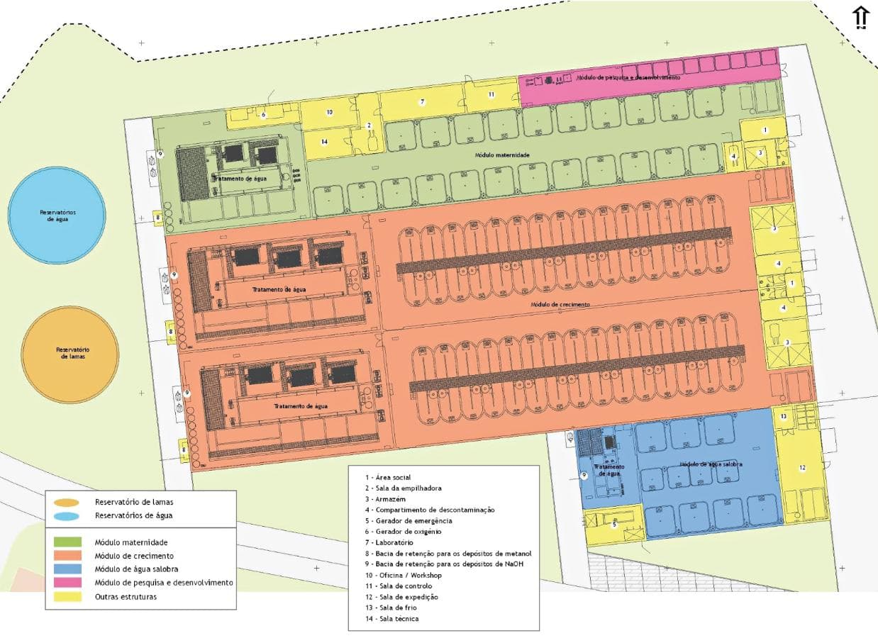 Unidade Industrial Completa – Setor aquacultura — imagem 47