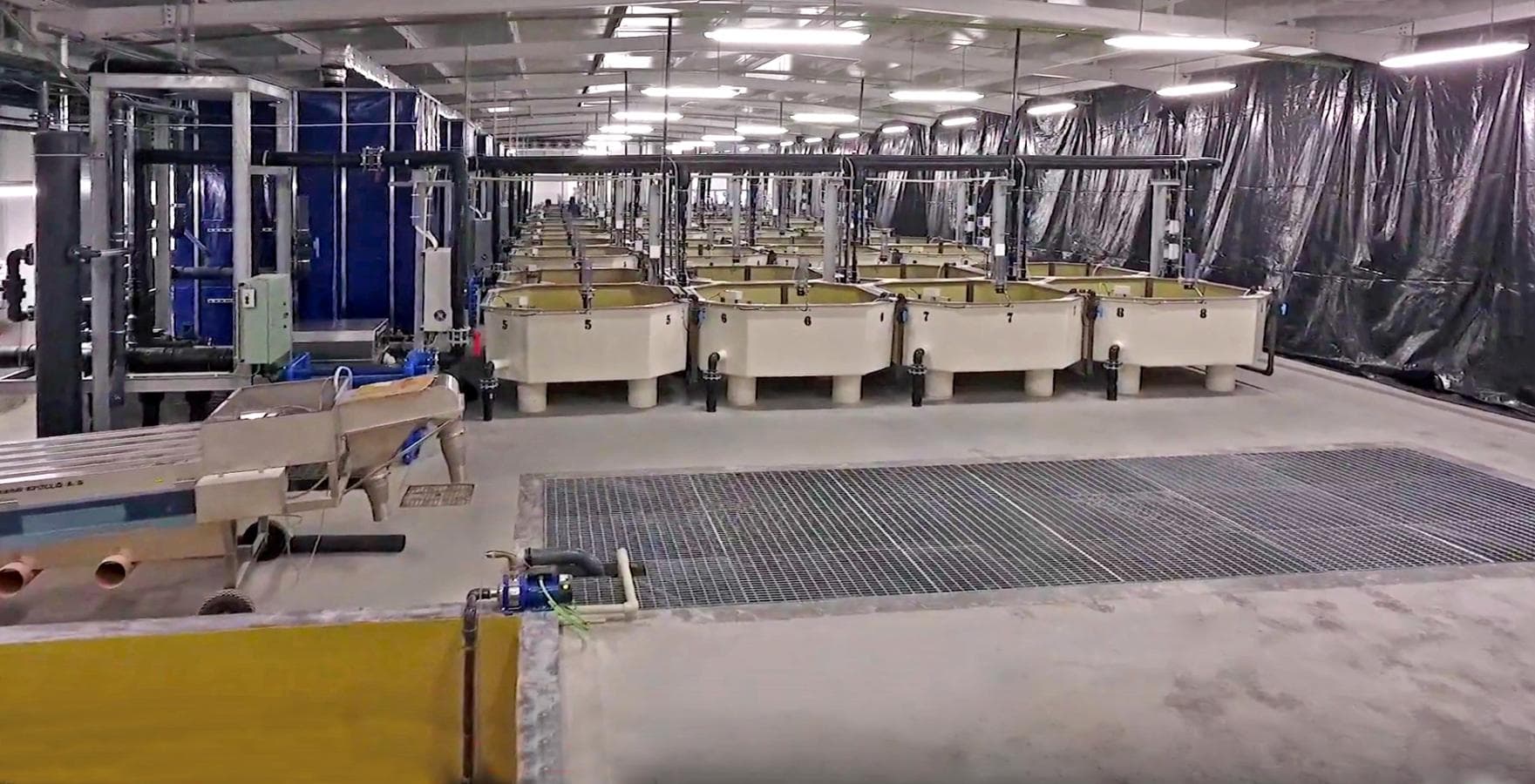 Unidade Industrial Completa – Setor aquacultura — imagem 45